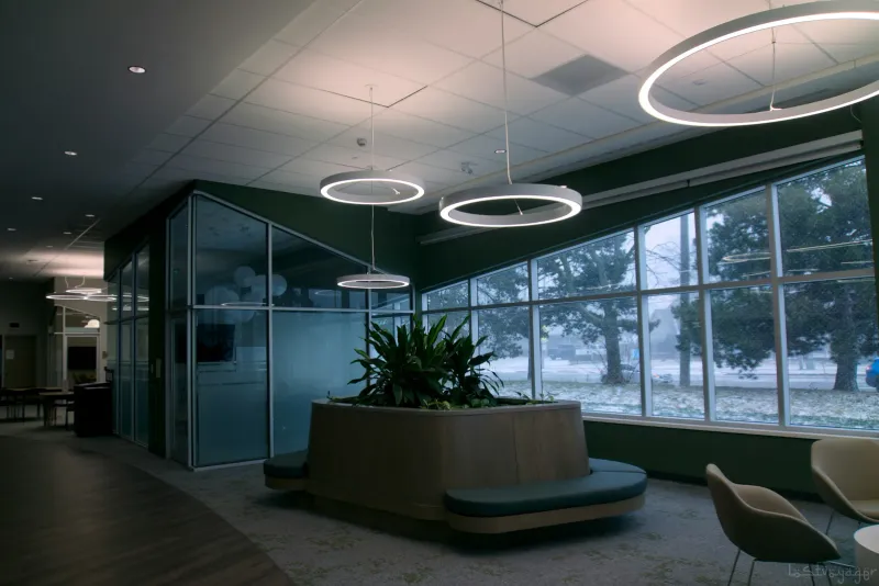 A modern medical practice lobby with floor-to-ceiling windows, greenery and warm pendant lighting